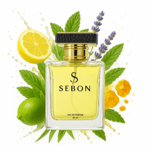 Imagination by Sebon